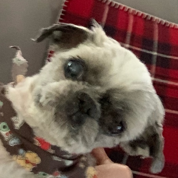 Meet your Posher, Shaun - Picture 1 of 1